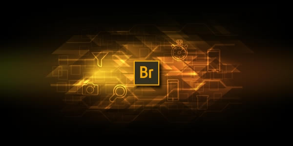 Adobe Bridge CC 2020特别版
