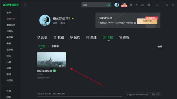爱奇艺极速版电脑版官方版下载视频方法4