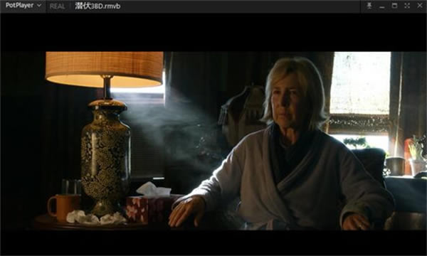PotPlayer播放器绿色便携版软件特色截图
