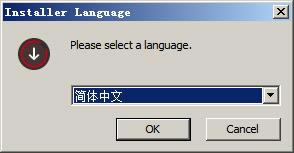 Mirillis Action安装教程截图1