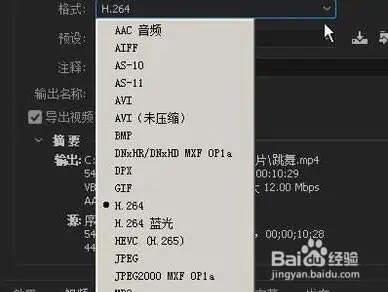 Premiere Pro 2023使用技巧6
