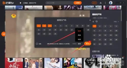 芒果TV简易版视频下载攻略4