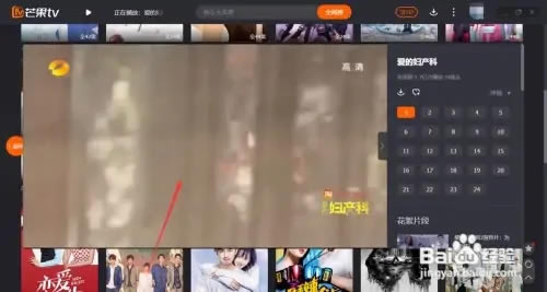 芒果TV简易版视频下载攻略1