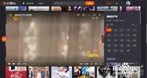 芒果TV简易版视频下载攻略2