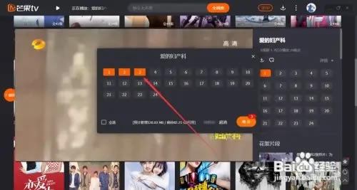 芒果TV简易版视频下载攻略3