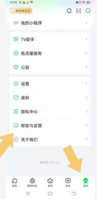 爱奇艺绿色版会员4