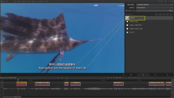 arctime pro怎么加双语字幕5