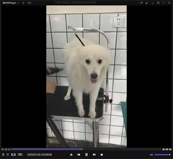 Kmplayer特别版特色截图