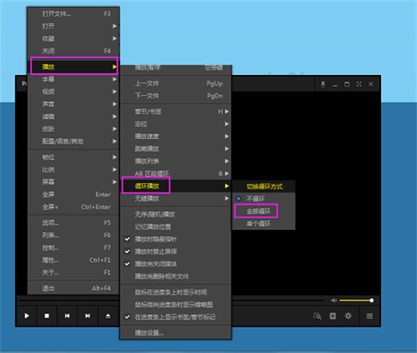 完美者解码常见问题截图1