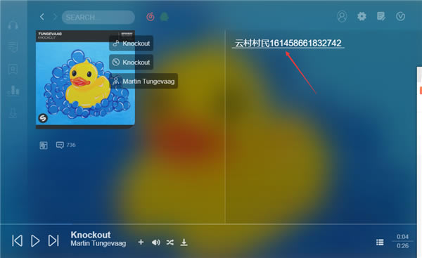 Soso Music界面介绍截图3