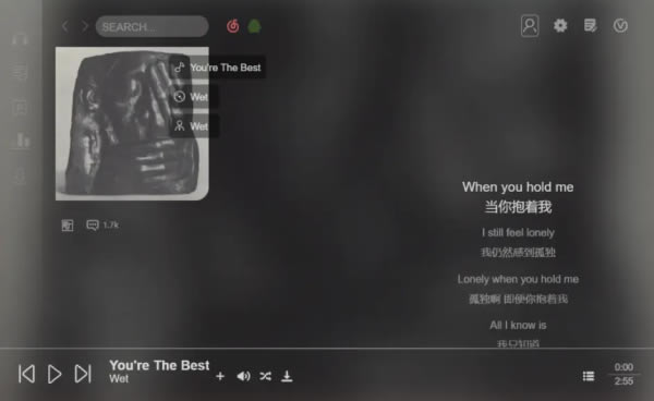 Soso Music使用评测截图1