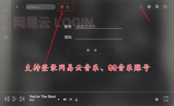 Soso Music使用评测截图2