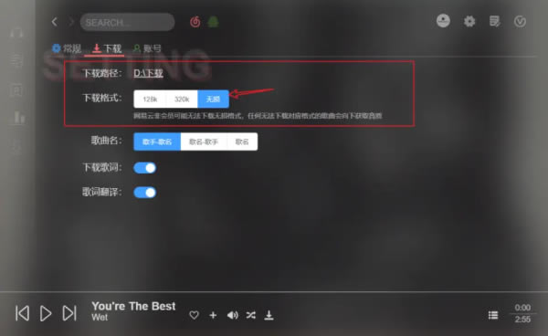 Soso Music使用评测截图7