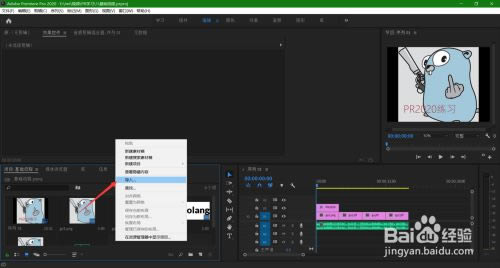 PR2020破解版百度网盘使用方法2