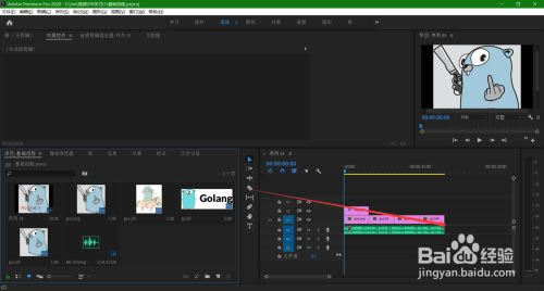 PR2020破解版百度网盘使用方法4