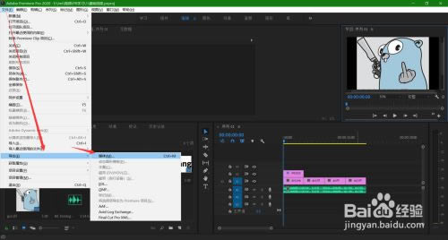 PR2020破解版百度网盘使用方法6