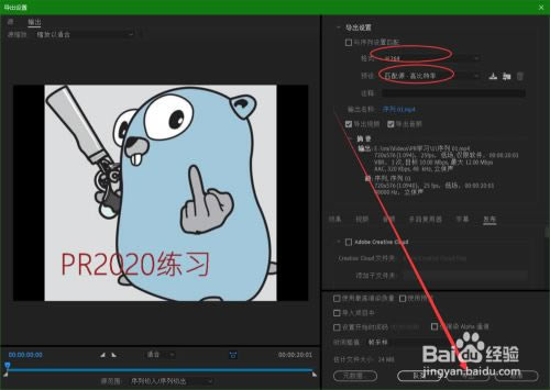 PR2020破解版百度网盘使用方法7
