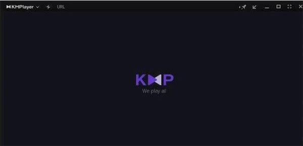 KMPlayer播放视频截图1