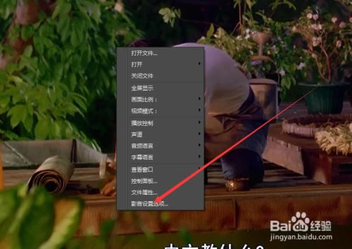 Ӱ���ȷ���԰�ʹ�÷���7