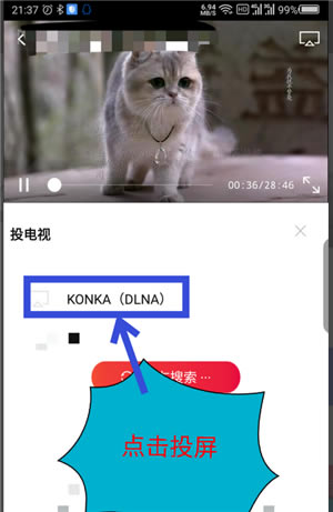 【搜狐视频特别版吾爱特别版】搜狐视频特别版VIP2020下载 v7.9.9 免广告内购版-本站