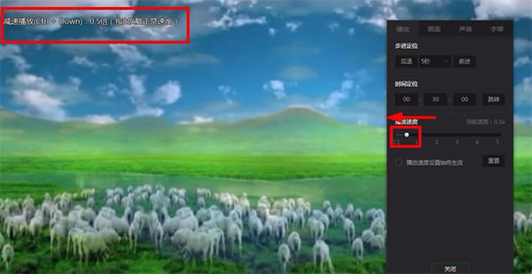 爱奇艺万能播放器最新版使用方法4