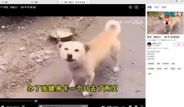 逍遥橙子哔哩哔哩特别版