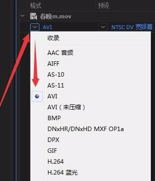 Media Encoder特别版怎么转码