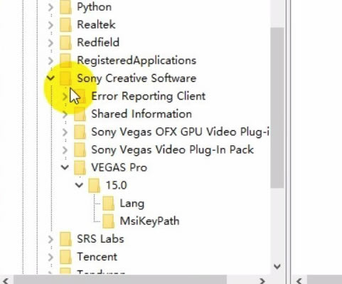 Vegas特别版截图