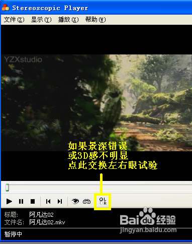 Stereoscopic PlayerƽءStereoscopic Player v2.4.3 ƽ(ע)-վ
