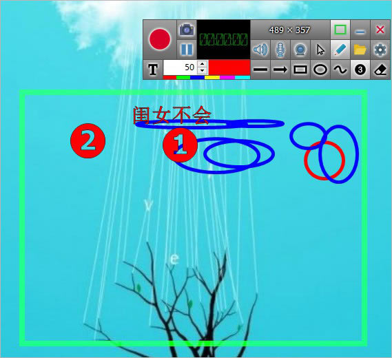 【Soft Screen Recorder特别版下载】Soft Screen Recorder中文版 v11.3.0 便携版