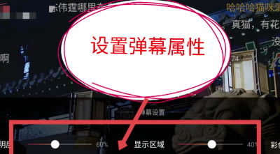 搜狐视频电脑版免广告版怎么关掉弹幕