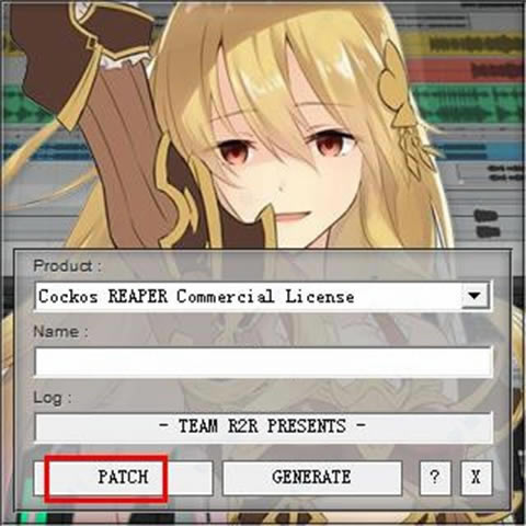 Reaper6特别版安装方法