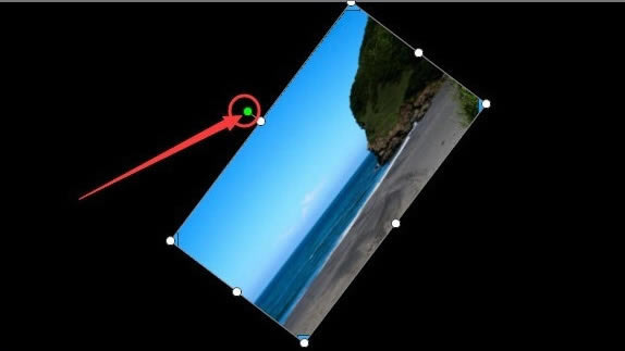 ��������2020�ر����ô��ת��Ƶ