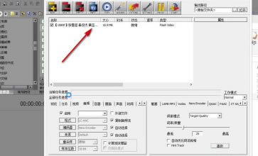 MediaCoder Pro特别版怎么转换格式