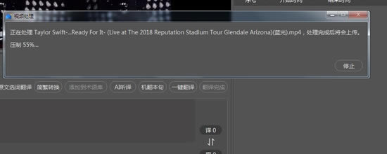 人人译视界pc特别版常见问题截图