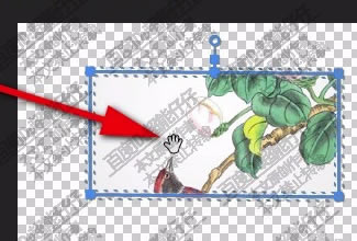 prcs6中文版特别版怎么做不透明模板