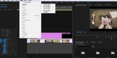 Pr2019中文版免费特别版怎么导出字幕版