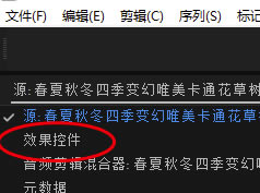 Pr2019中文版免费特别版怎么打关键帧