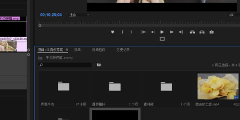 Pr2019中文版免费特别版怎么导出字幕版