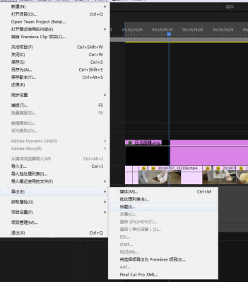 Pr2019中文版免费特别版怎么导出字幕版