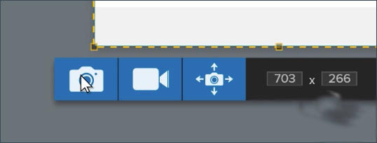 TechSmith SnagItѰʹý̳̽ͼ