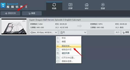 Apowersoft视频转换王免费版使用教程截图