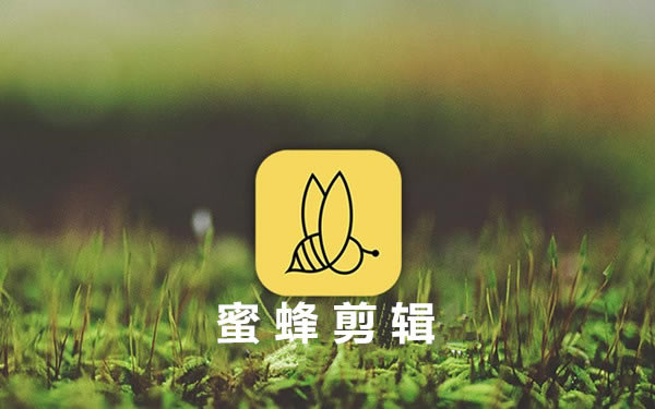 蜜蜂剪辑最新版截图