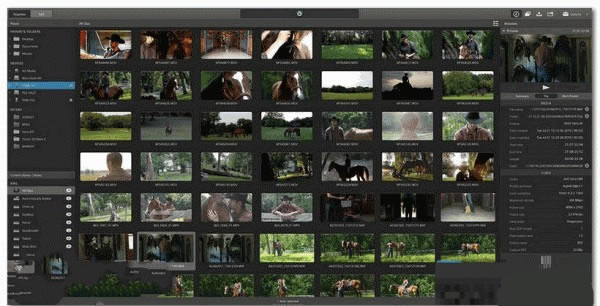 Sony Catalyst Prepare免费版