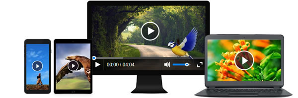 ��CKplayer���������ء�CKplayer��ҳ��Ƶ������ v18.01.10 ������İ�(����װ�̳�)-��վ