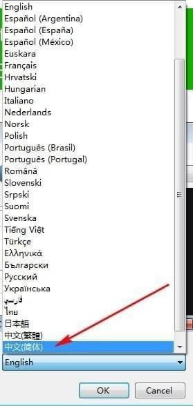 Subtitle Edit字幕软件中文设置方法截图2