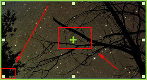 ��oCam¼���������԰����ء�oCam��Ļ¼�ƹ��� V495 ��Ѱ�-��վ