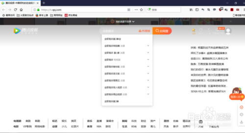 【vip视频解析下载】全网vip视频在线解析软件 v1.0 免费最新版-本站