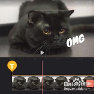 【videoLeap特别版】videoLeap电脑版下载 v1.6.0 全功能解锁版-本站