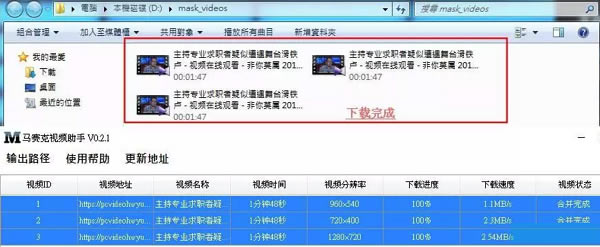 马赛克视频助手特别版截图